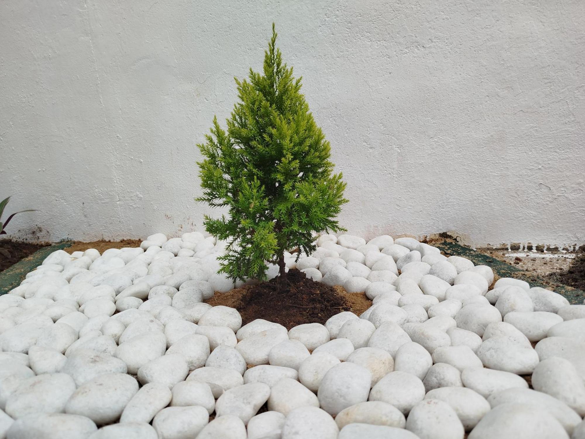 Hotel Elzangi Negombo Zewnętrze zdjęcie
